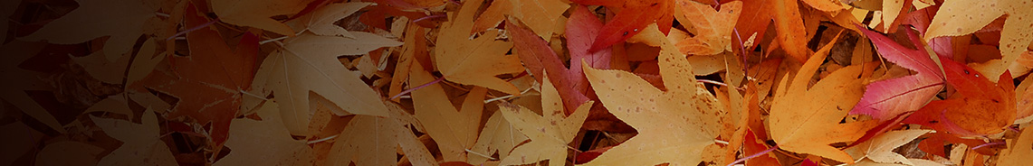 natural-treasures-ii-184x1141.jpg